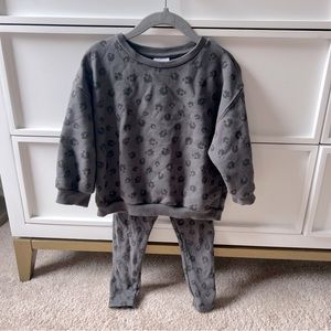 Zara Gray Leopard Matching Set